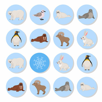 Memory game for preschool children, vector cards with arctic animals. Find two identical picture. Kids activity page for book. 