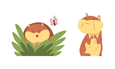 Cute Hamster Character with Stout Body Chewing Something and Peeking from Bush Vector Set
