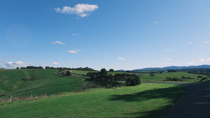 landscape in australian dairy country