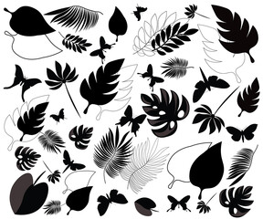 tropics, palm leaves, butterflies, line art
