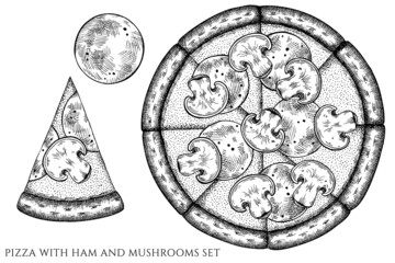 Pizza vintage vector illustrations collection. Black and white pizza with ham and mushrooms.