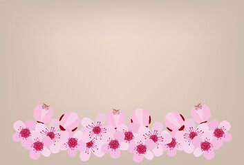 Spring cherry blossom floral card