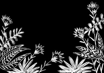 a frame of flowers and leaves in white on a black background