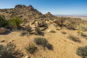 hiking the maze loop in joshua tree national park, california, usa