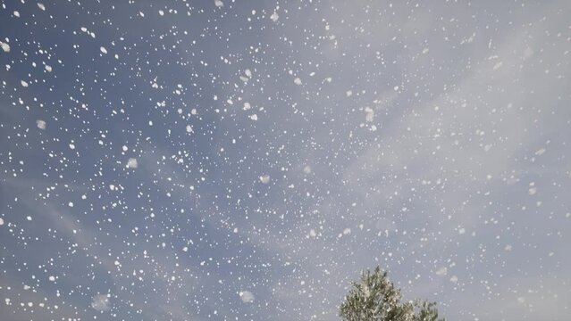 Schneefall - 3D Animation