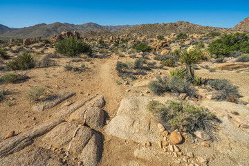 hiking the maze loop in joshua tree national park, california, usa