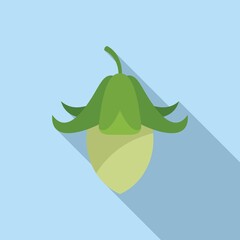 Jojoba seed icon flat vector. Aroma plant