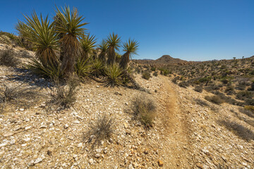 hiking the maze loop in joshua tree national park, california, usa