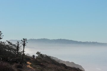 misty morning on the water by the beach