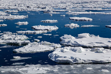 北海道羅臼町の流氷