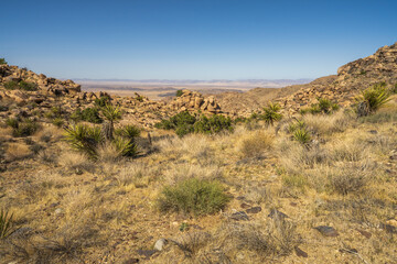 hiking the maze loop in joshua tree national park, california, usa