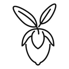 Jojoba leaf icon outline vector. Aroma herb