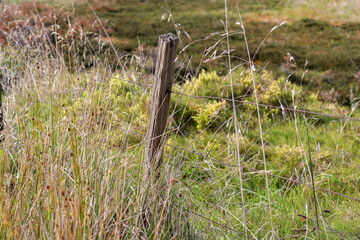 fence post in long grass in field