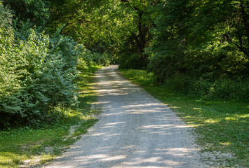 Obraz premium A path in Winterset Park, Winterset, Iowa