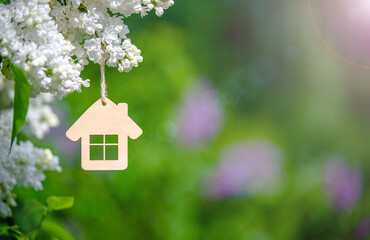 The symbol of the house among the branches of the white lilac
