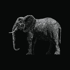 African Bush Elephant hand drawing vector illustration isolated on black background