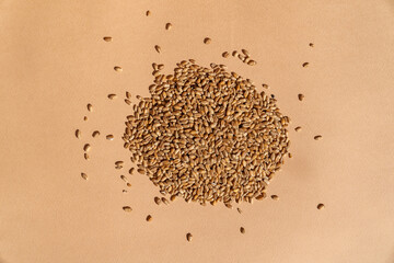 A bunch of wheat seeds on a minimalistic brown background. Top view