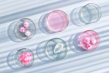 petri dish pattern with cosmetic samples on a light background