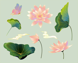 Oriental vintage lotus drawings