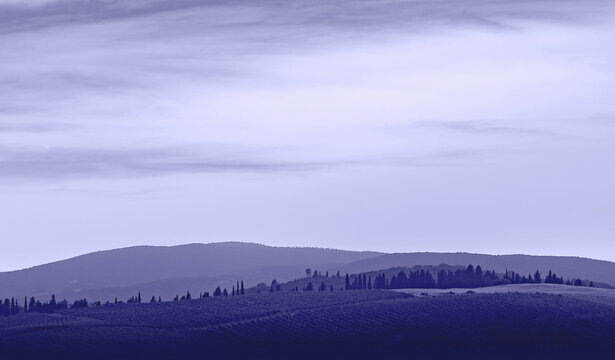 gentle hilly landscape in a trendy color very pery