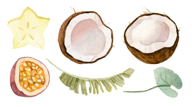 Hand drawn watercolor illustration of different exotic tropical fruits. Hand painted watercolor illustration. Isolated on the white background.