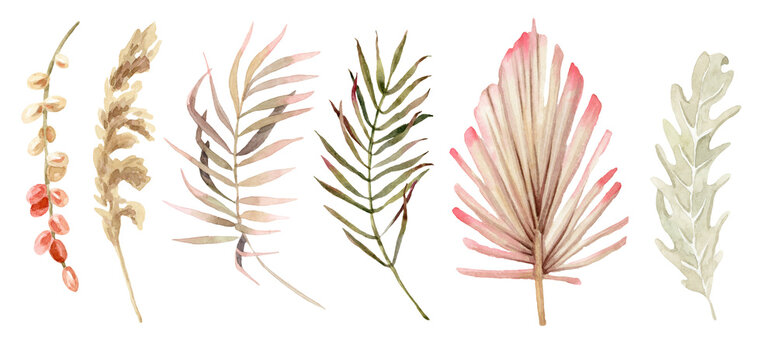 Exotic tropical plants, leaves. Hand painted watercolor illustration.