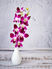 Violet purple orchids flowers in vase on table texture background ,flora Cooktown orchid background...