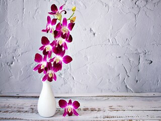 Violet purple orchids flowers in vase on table texture background ,flora Cooktown orchid background...