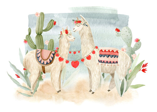Alpaca (llama) decorated with bright red flowers. Perfect of wedding invitations and valentines day decorations. Hand painted watercolor illustration.