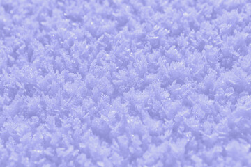 Fototapeta na wymiar Snow texture, winter background 