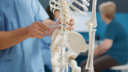 Physiotherapist pointing at back bones on human skeleton to explain pain and mechanical disorders,...
