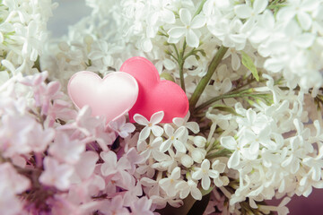 Two valentines hearts in blooming lilacs flowers. Valentine’s day and Love concept