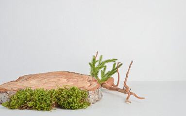 wooden podium with moss for the presentation of ecological products on a light background