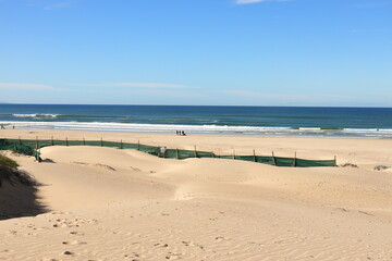 Poles with netting in dunes, used to stabilize the sand of the dunes at Witsand, Western Cape, South Africa.