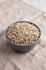 Raw Organic Sunflower Seed Kernels in a Blue Bowl, side view.