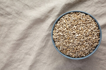 Raw Organic Sunflower Seed Kernels in a Blue Bowl, top view. Flat lay, overhead, from above. Space for text.