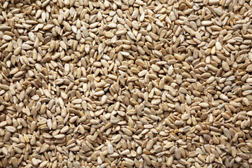 Raw Organic Sunflower Seed Kernels