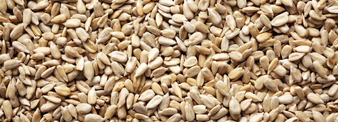 Raw Organic Sunflower Seed Kernels