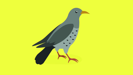 The dove stands on its paws and looks ahead