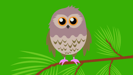 Little owlet sits on a tree branch