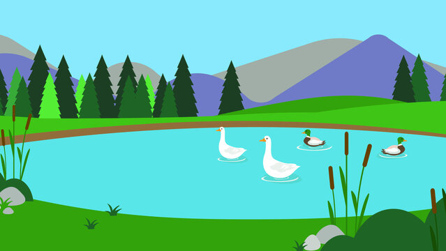 Ducks and geese on the lake