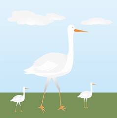 yellow colored town hall and its surroundings