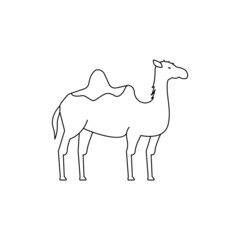 Camel, animal, icon on white background