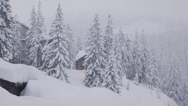 Camera pan over a wooden house in a pine forest in the mountains during a heavy snowfall