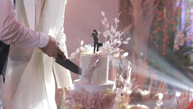 Newlyweds cut the wedding cake