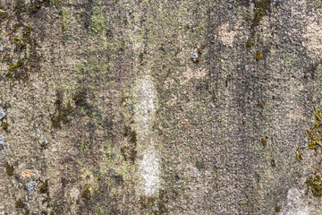 Old concrete wall. Ideal for textures and backgrounds.