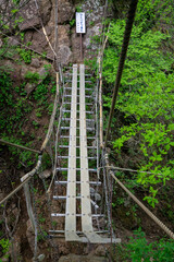 十二ヶ岳の吊り橋