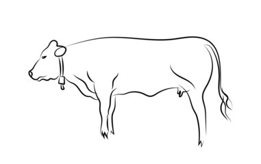Basic cow silhouette standing with cowbell. Side profile view. Sketch hand drawn style lines vector illustration.