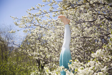A young woman makes Yoga exercise complex. enjoying the moment. holistic health practices. woman wearing sportswear does a headstand in a spring flowering garden or yard outdoors. Copy space.
