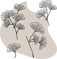 Isolated vector hand drawn illustration of ginkgo biloba herbal plant leaves